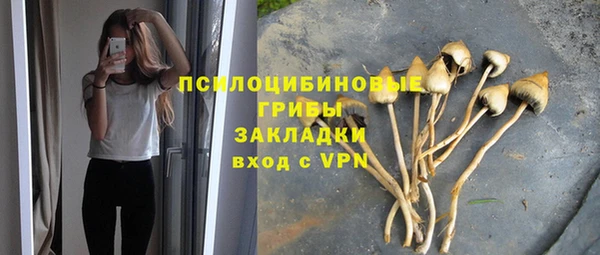 стафф Алексеевка